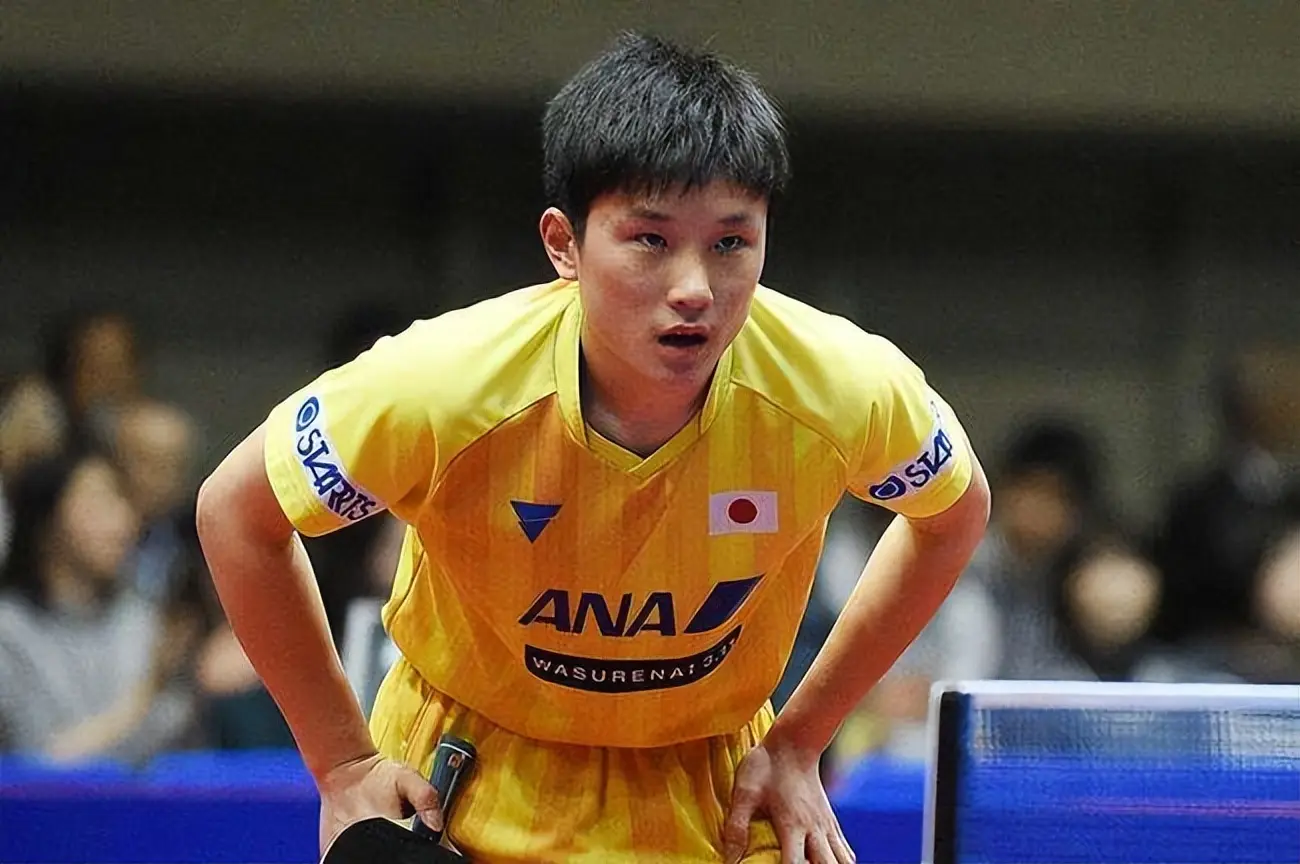 img, 加德等, 张本智和